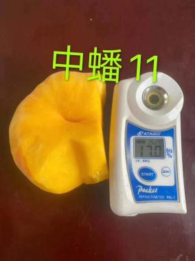 蒙陰篇 巾幗好產(chǎn)品，等您來團(tuán)購(gòu)——聚焦散裝及預(yù)包裝食品的優(yōu)質(zhì)銷售